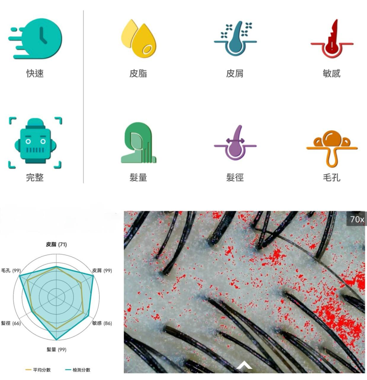 AI 頭皮檢測六大項目分析畫面